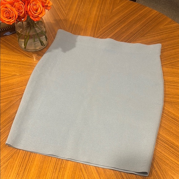 Express Blue Women's Pencil Skirt - Picture 1 of 3
